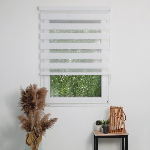 Store enrouleur jour nuit basique coffre