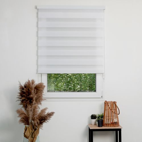 Store enrouleur jour nuit basique coffre