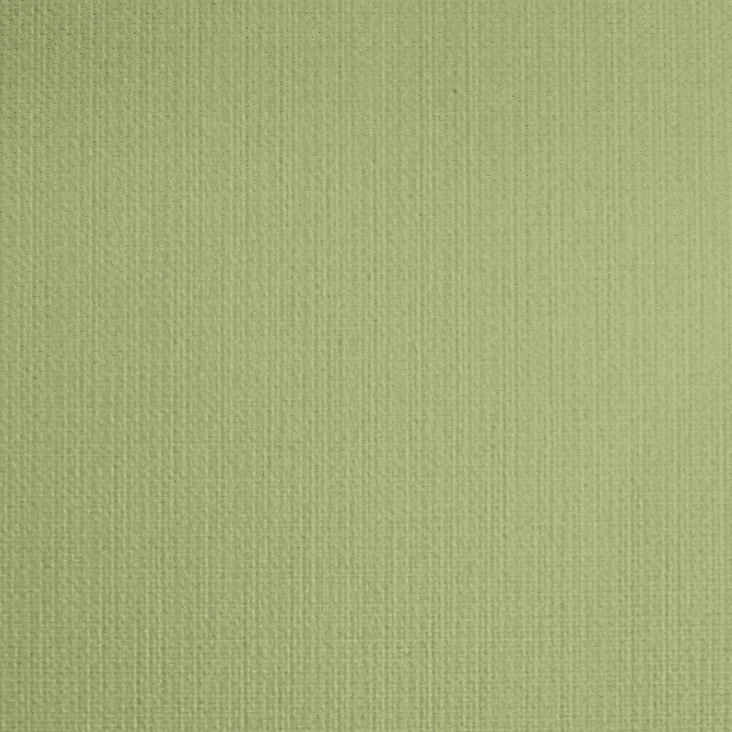 Occultant vert fougère