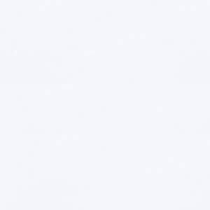 Noix de coco 50mm - Bois lisse